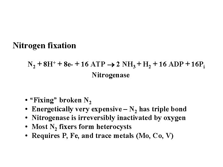 Nitrogen fixation N 2 + 8 H+ + 8 e- + 16 ATP 2