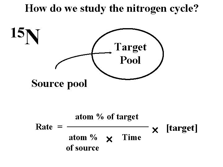 How do we study the nitrogen cycle? 15 N Target Pool Source pool atom