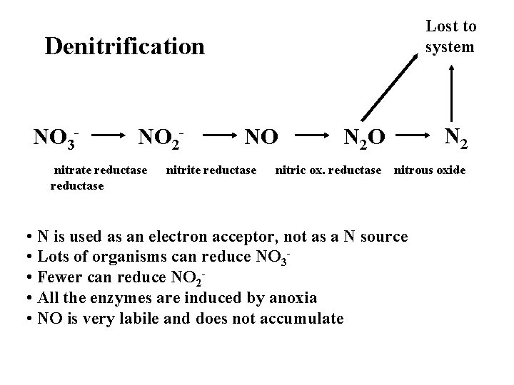 Lost to system Denitrification NO 3 - NO 2 - nitrate reductase NO nitrite
