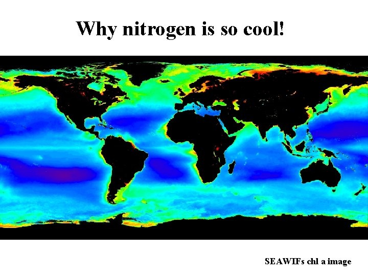 Why nitrogen is so cool! SEAWIFs chl a image 