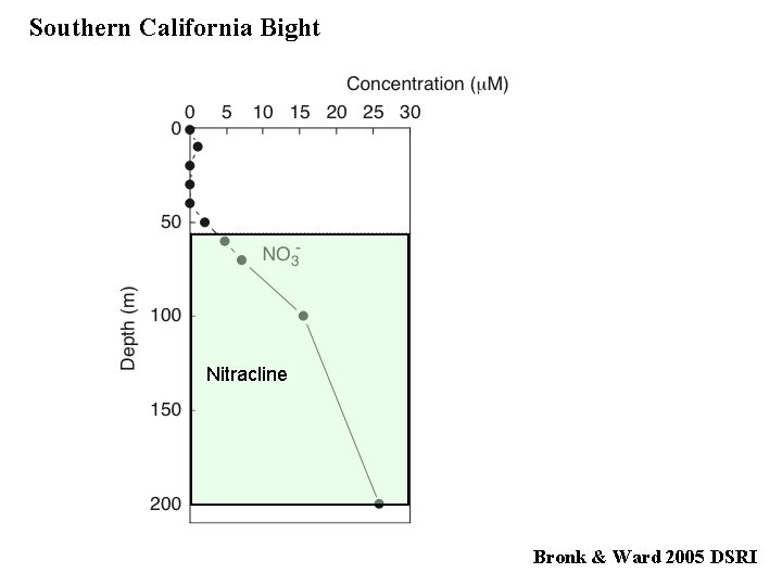 Southern California Bight Nitracline Bronk & Ward 2005 DSRI 