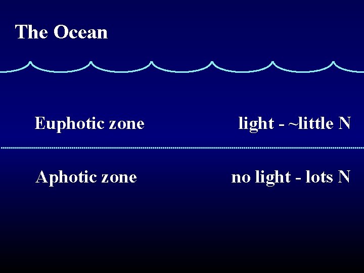 The Ocean Euphotic zone light - ~little N Aphotic zone no light - lots
