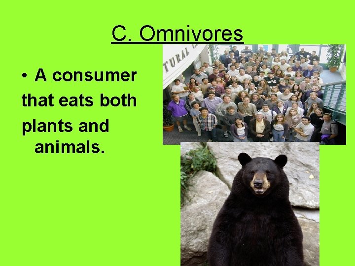 C. Omnivores • A consumer that eats both plants and animals. 