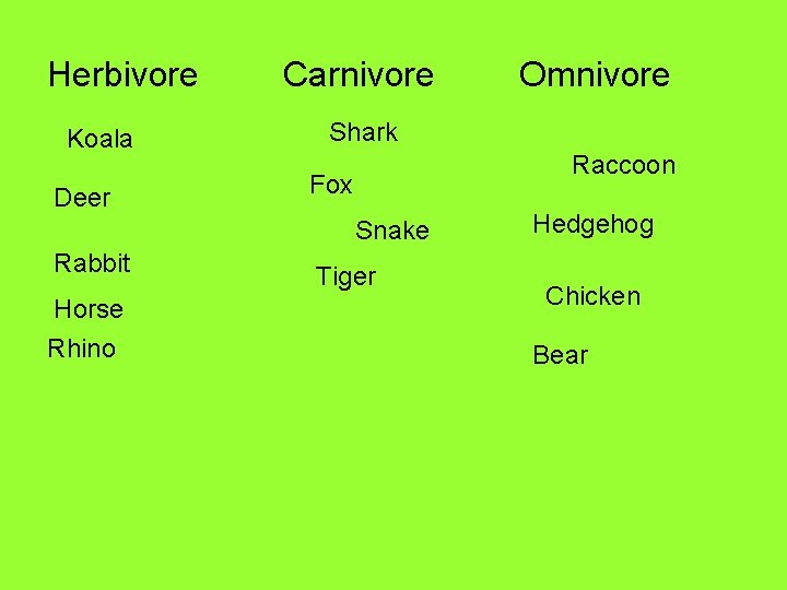 Herbivore Koala Deer Carnivore Shark Raccoon Fox Snake Rabbit Horse Rhino Omnivore Tiger Hedgehog