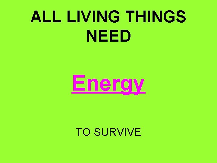 ALL LIVING THINGS NEED Energy TO SURVIVE 