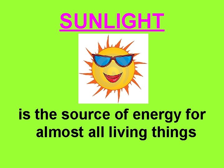 SUNLIGHT is the source of energy for almost all living things 