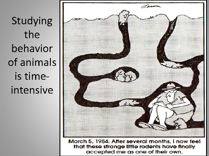 Studying the behavior of animals is timeintensive 