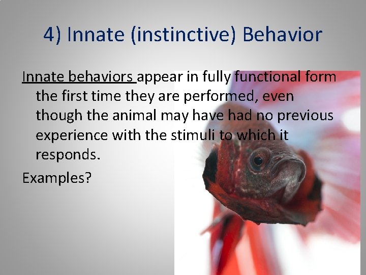 4) Innate (instinctive) Behavior Innate behaviors appear in fully functional form the first time
