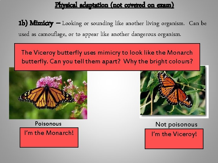 Physical adaptation (not covered on exam) 1 b) Mimicry -- Looking or sounding like