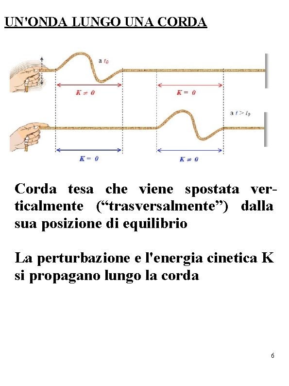 UN'ONDA LUNGO UNA CORDA Corda tesa che viene spostata verticalmente (“trasversalmente”) dalla sua posizione