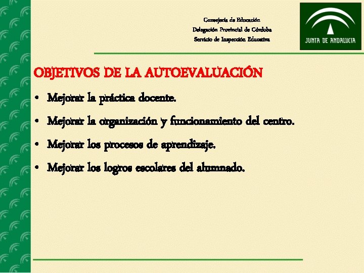 Consejería de Educación Delegación Provincial de Córdoba Servicio de Inspección Educativa OBJETIVOS DE LA