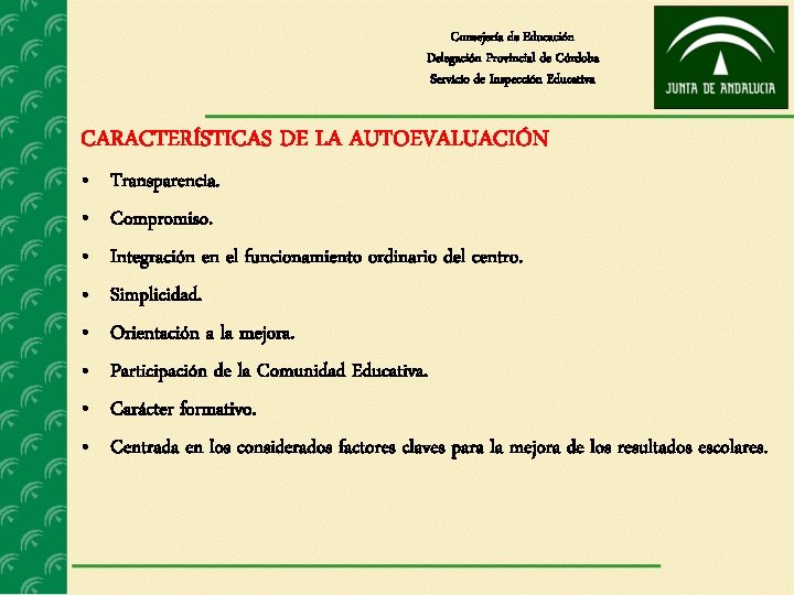 Consejería de Educación Delegación Provincial de Córdoba Servicio de Inspección Educativa CARACTERÍSTICAS DE LA