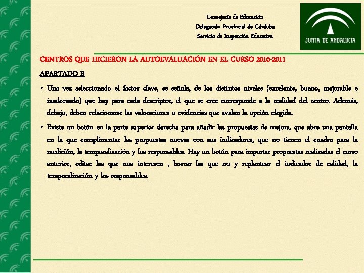 Consejería de Educación Delegación Provincial de Córdoba Servicio de Inspección Educativa CENTROS QUE HICIERON