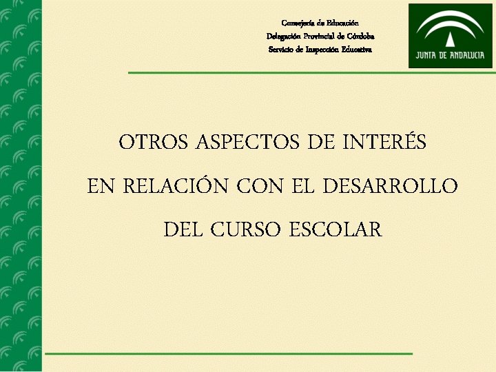 Consejería de Educación Delegación Provincial de Córdoba Servicio de Inspección Educativa OTROS ASPECTOS DE