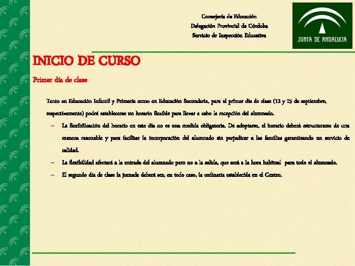 Consejería de Educación Delegación Provincial de Córdoba Servicio de Inspección Educativa INICIO DE CURSO