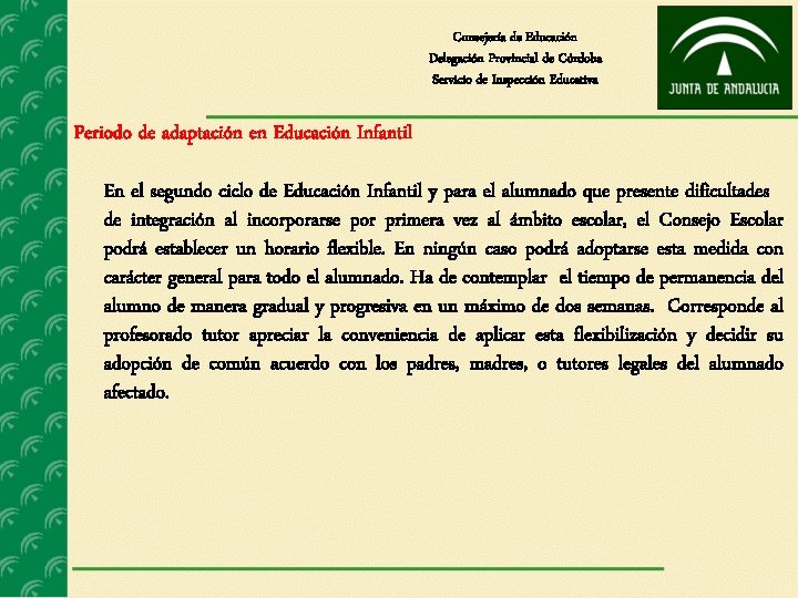 Consejería de Educación Delegación Provincial de Córdoba Servicio de Inspección Educativa Periodo de adaptación