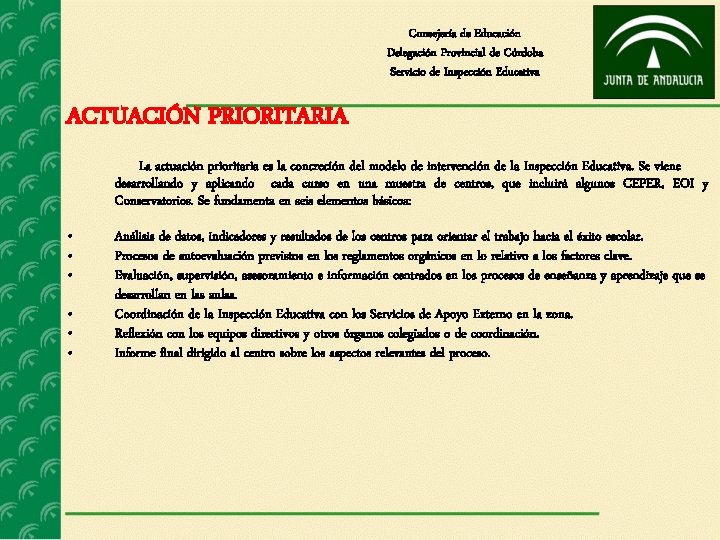 Consejería de Educación Delegación Provincial de Córdoba Servicio de Inspección Educativa ACTUACIÓN PRIORITARIA La