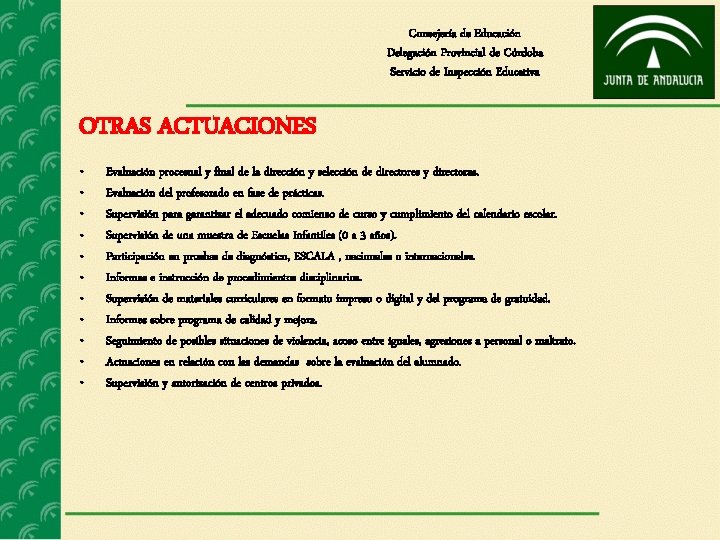 Consejería de Educación Delegación Provincial de Córdoba Servicio de Inspección Educativa OTRAS ACTUACIONES •