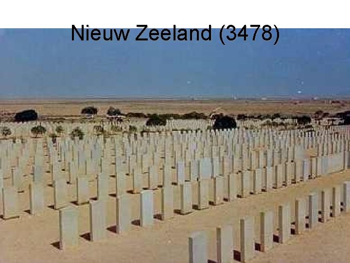 Nieuw Zeeland (3478) 