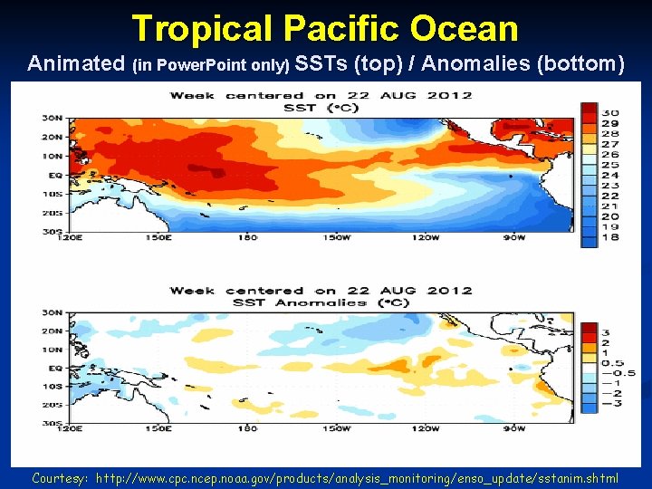 Tropical Pacific Ocean Animated (in Power. Point only) SSTs (top) / Anomalies (bottom) Courtesy: