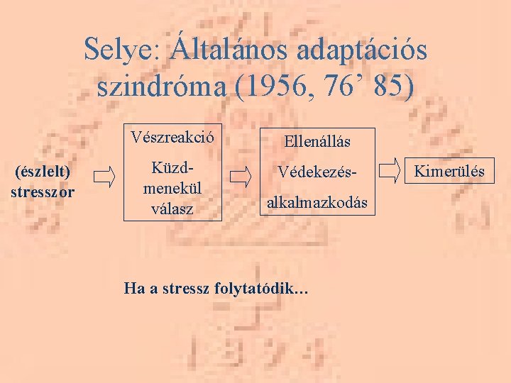 Selye: Általános adaptációs szindróma (1956, 76’ 85) (észlelt) stresszor Vészreakció Ellenállás Küzdmenekül válasz Védekezésalkalmazkodás