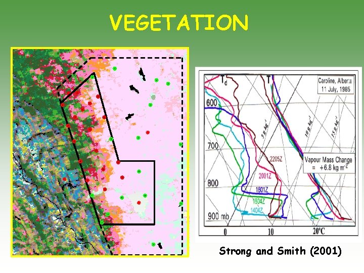 VEGETATION Strong and Smith (2001) 