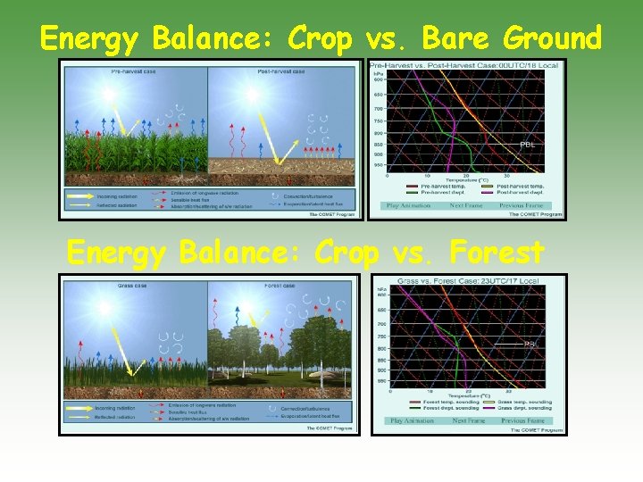 Energy Balance: Crop vs. Bare Ground Energy Balance: Crop vs. Forest 