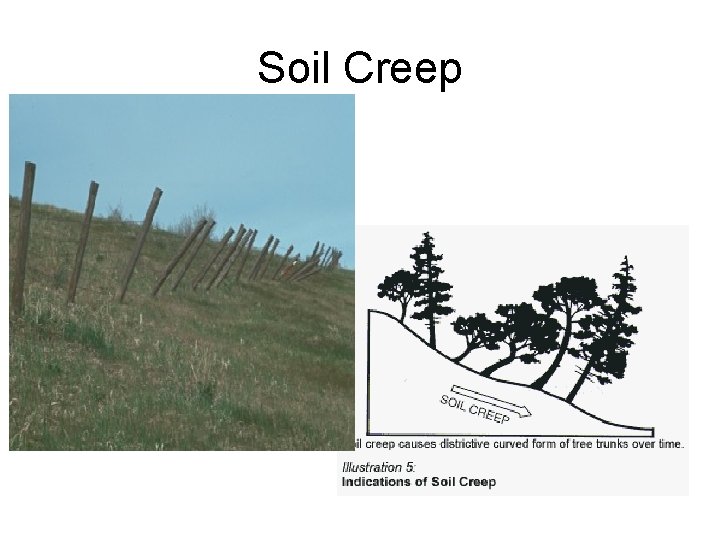 Soil Creep 
