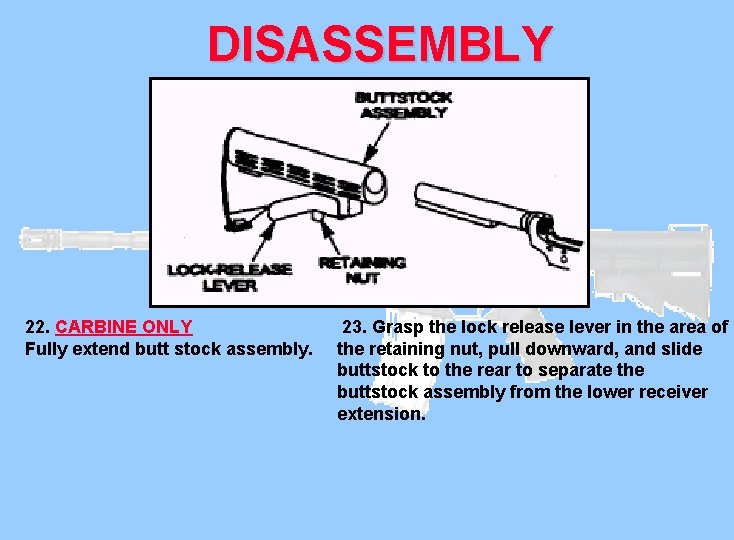 DISASSEMBLY 22. CARBINE ONLY Fully extend butt stock assembly. 23. Grasp the lock release