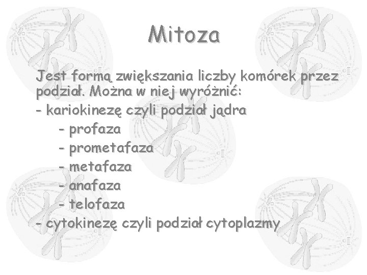Mitoza Jest formą zwiększania liczby komórek przez podział. Można w niej wyróżnić: - kariokinezę