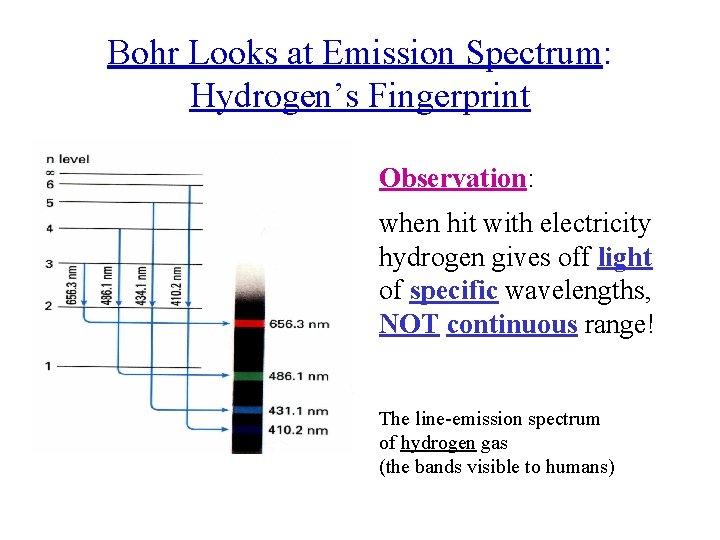 Bohr Looks at Emission Spectrum: Hydrogen’s Fingerprint Observation: when hit with electricity hydrogen gives