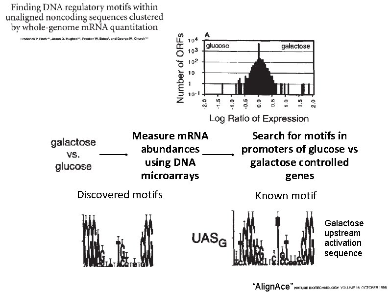 Measure m. RNA abundances using DNA microarrays Discovered motifs Search for motifs in promoters