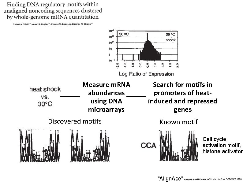 Measure m. RNA abundances using DNA microarrays Discovered motifs Search for motifs in promoters