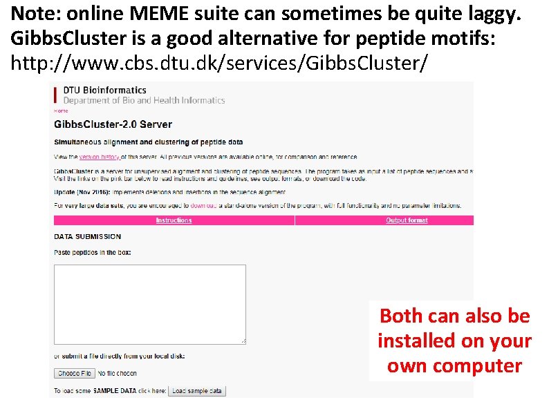 Note: online MEME suite can sometimes be quite laggy. Gibbs. Cluster is a good