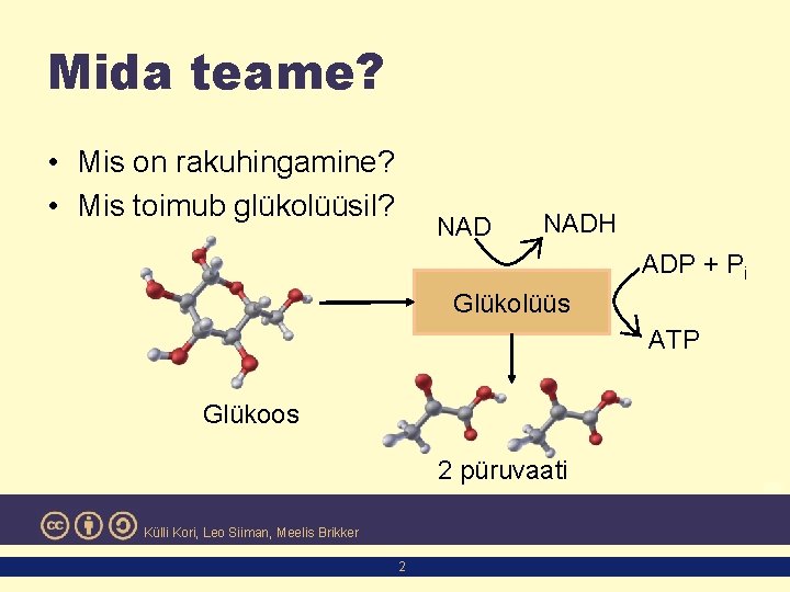 Mida teame? • Mis on rakuhingamine? • Mis toimub glükolüüsil? NADH ADP + Pi