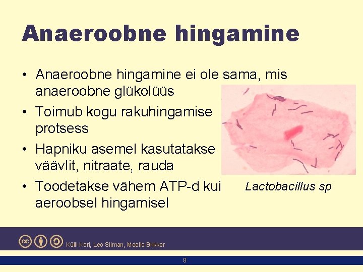 Anaeroobne hingamine • Anaeroobne hingamine ei ole sama, mis anaeroobne glükolüüs • Toimub kogu