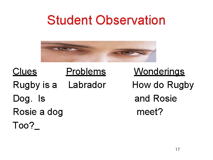 Student Observation Clues Problems Rugby is a Labrador Dog. Is Rosie a dog Too?