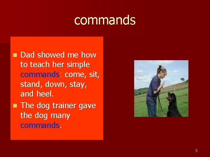 commands Dad showed me how to teach her simple commands: come, sit, stand, down,