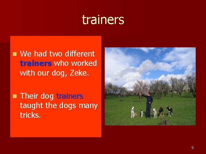 trainers n We had two different trainers who worked with our dog, Zeke. n