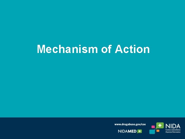 Mechanism of Action Mechanism of Action