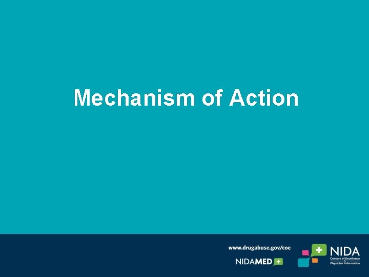 Mechanism of Action 