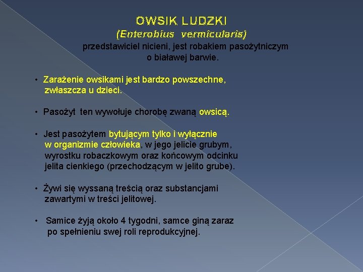 OWSIK LUDZKI (Enterobius vermicularis) przedstawiciel nicieni, jest robakiem pasożytniczym o białawej barwie. • Zarażenie