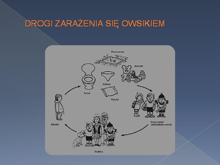 DROGI ZARAŻENIA SIĘ OWSIKIEM 