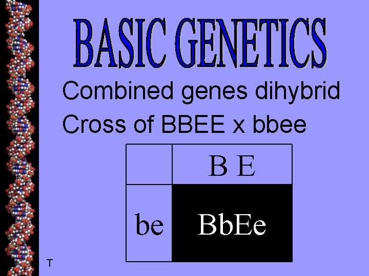 Combined genes dihybrid Cross of BBEE x bbee BE be T Bb. Ee 