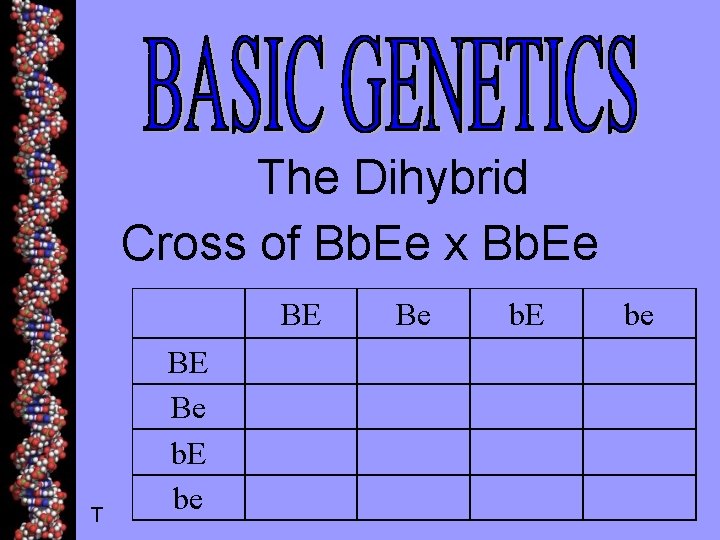 The Dihybrid Cross of Bb. Ee x Bb. Ee T BE Be b. E