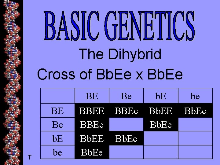 The Dihybrid Cross of Bb. Ee x Bb. Ee T BE Be b. E