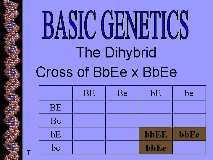 The Dihybrid Cross of Bb. Ee x Bb. Ee T BE Be b. E