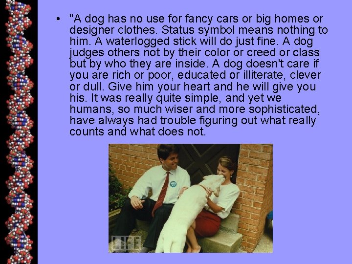  • "A dog has no use for fancy cars or big homes or