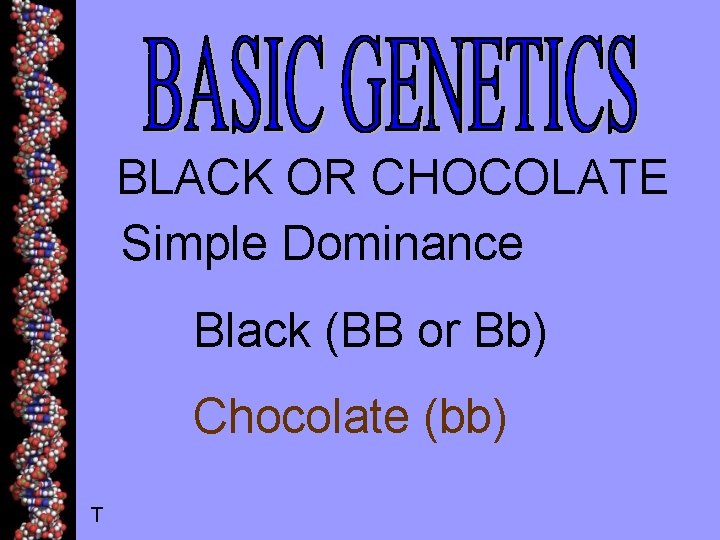 BLACK OR CHOCOLATE Simple Dominance Black (BB or Bb) Chocolate (bb) T 