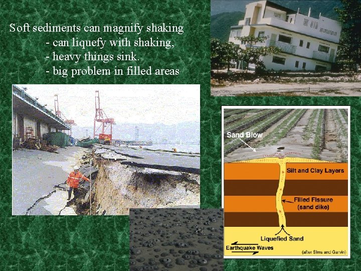 Soft sediments can magnify shaking - can liquefy with shaking, - heavy things sink.